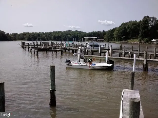 a view of a lake with boats and trees in the background