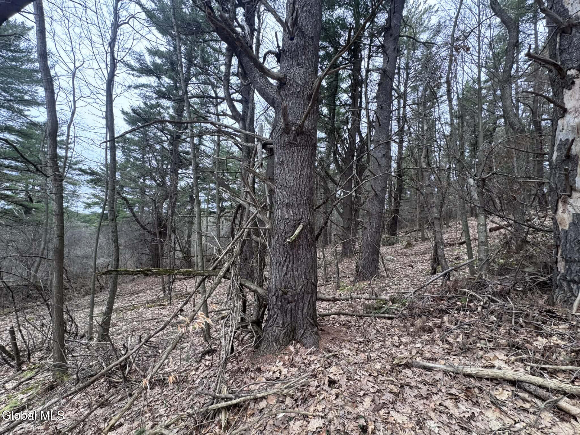 290 Griggs Road Springfield, NY 13468 - Photo 59 of 59 290GriggsRd_68576_61