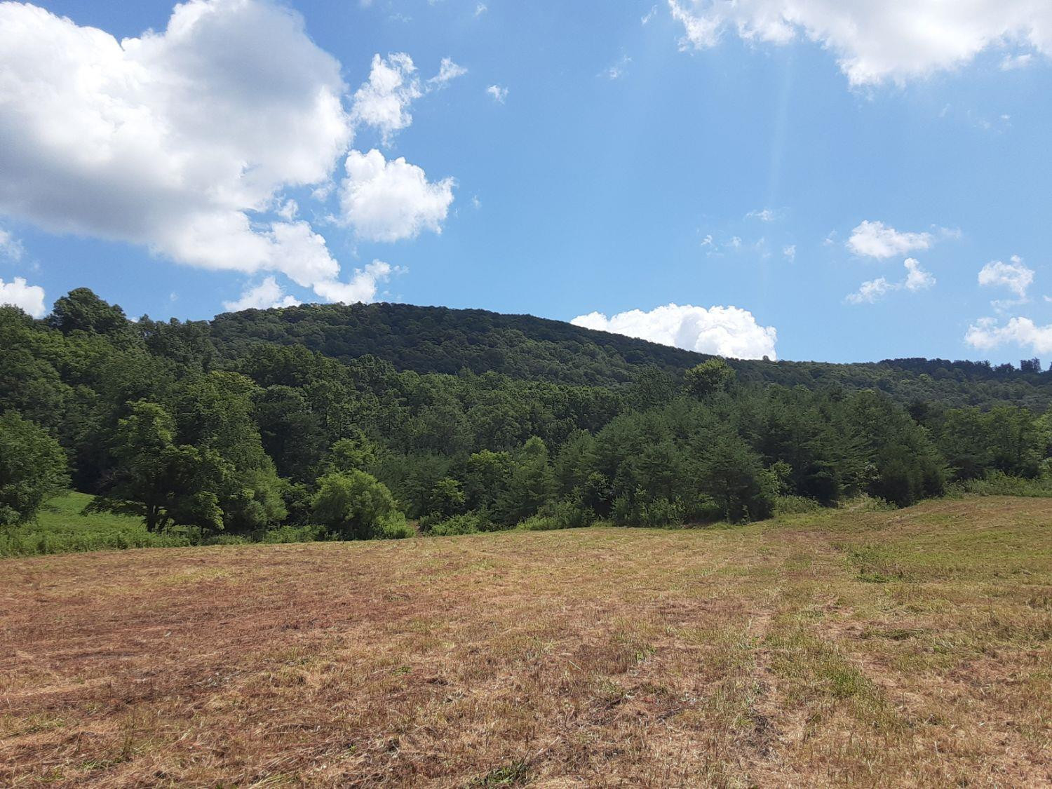 123 Zion Mt Road Irvine, KY 40336 - Photo 5 of 6 Photo 9