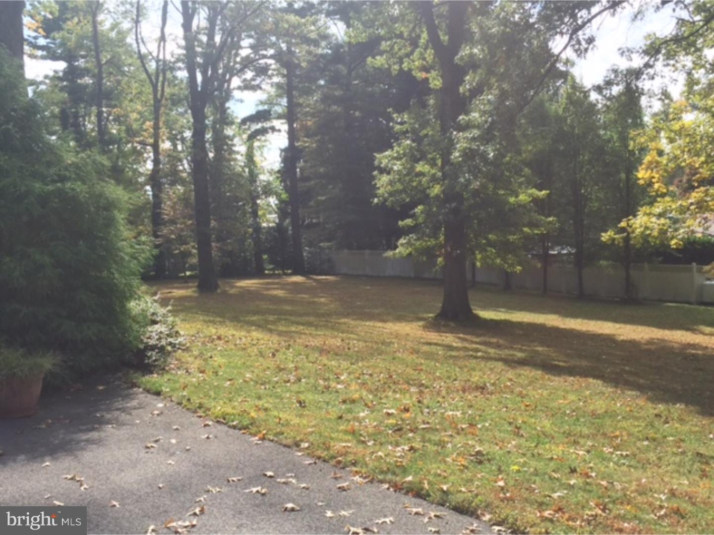 601 South Providence Road Wallingford, PA 19086 - Photo 19 of 20 Back Yard