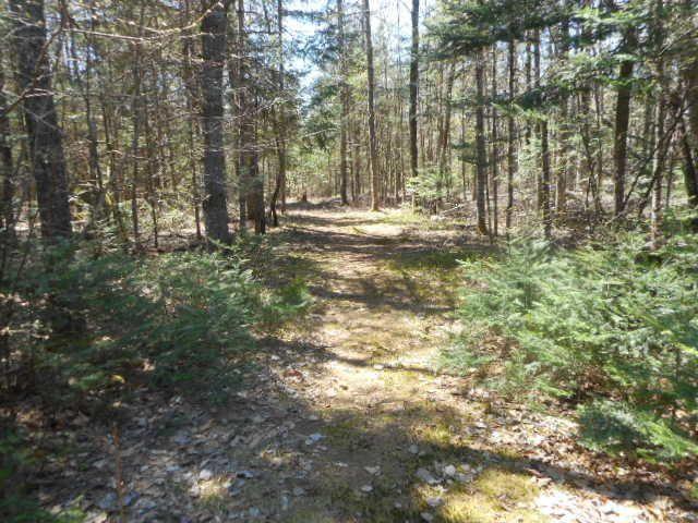 397 Transalpine Road Lincoln, ME 04457 - Photo 23 of 26 20200515023302890924000000-o
