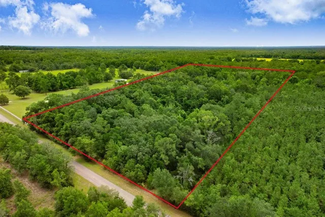 a view of a green field with lots of plants in it