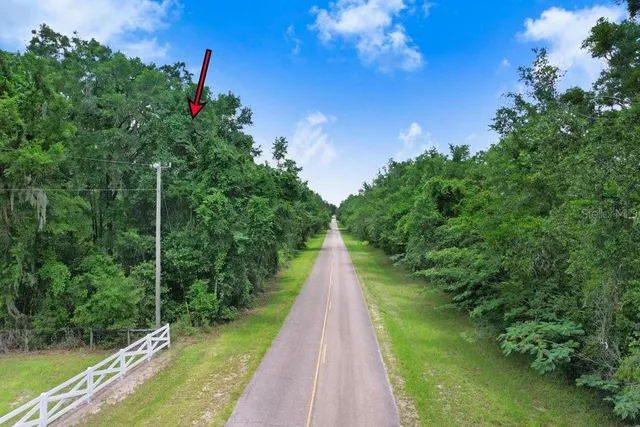 a view of a pathway in a garden