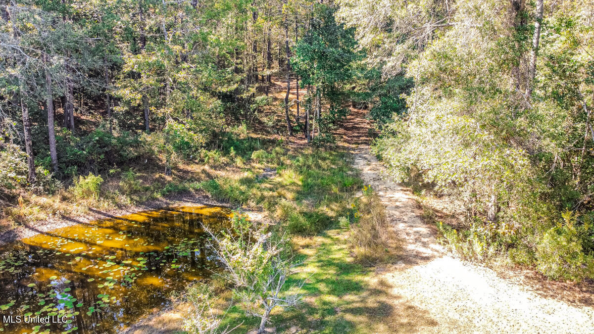 2221 Deep Creek Road Lucedale, MS 39452 - Photo 24 of 44 RemoteMediaFile_6619426_0_2022_10_15_14_