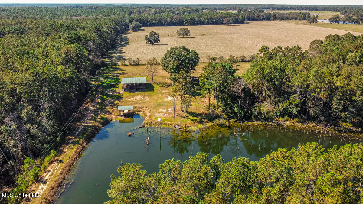 2221 Deep Creek Road Lucedale, MS 39452 - Photo 26 of 44 Aerial view of cabin