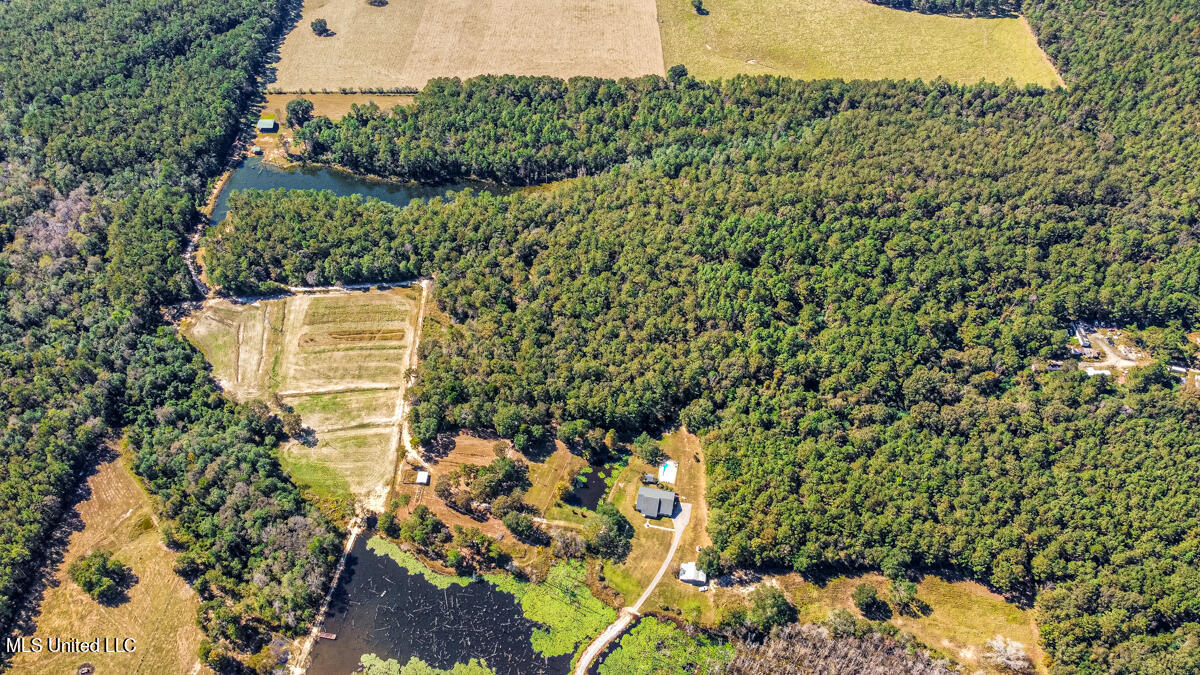 2221 Deep Creek Road Lucedale, MS 39452 - Photo 29 of 44 RemoteMediaFile_6619410_0_2022_10_15_14_