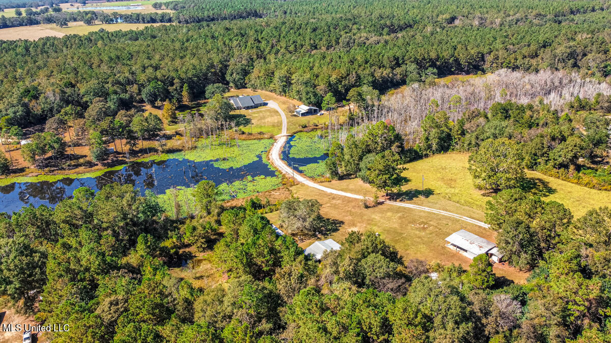 2221 Deep Creek Road Lucedale, MS 39452 - Photo 35 of 44 RemoteMediaFile_6619401_0_2022_10_15_13_