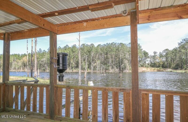 2221 Deep Creek Road Lucedale, MS 39452 - Photo 41 of 44 Covered Dock at Cabin