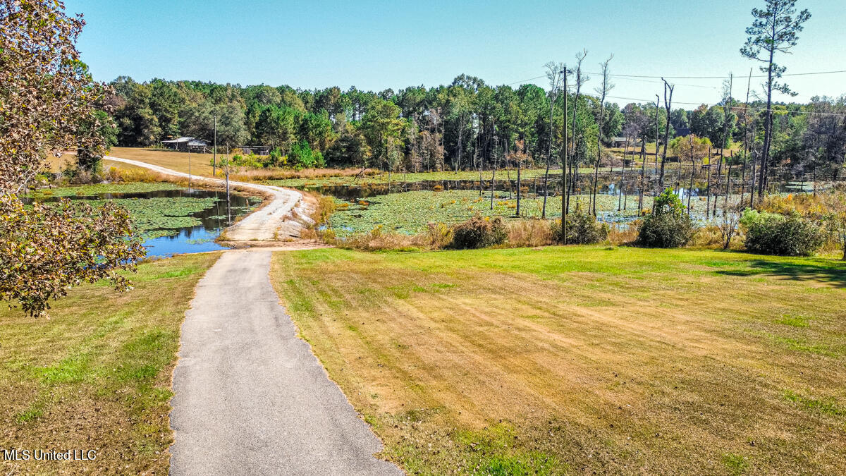 2221 Deep Creek Road Lucedale, MS 39452 - Photo 5 of 44 RemoteMediaFile_6619419_0_2022_10_15_14_