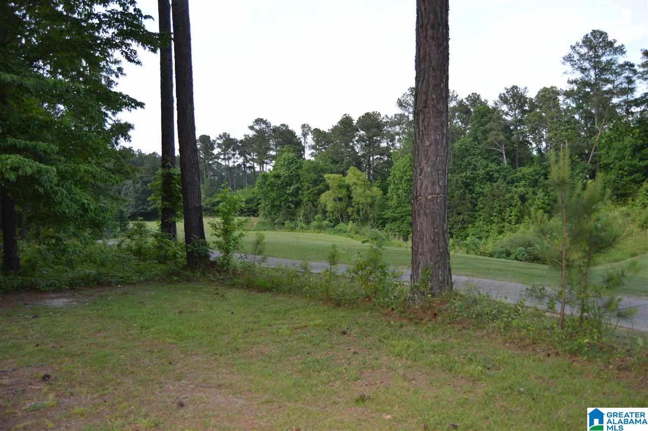 910 Sellers Hollow Road Dora, AL 35062 - Photo 45 of 47