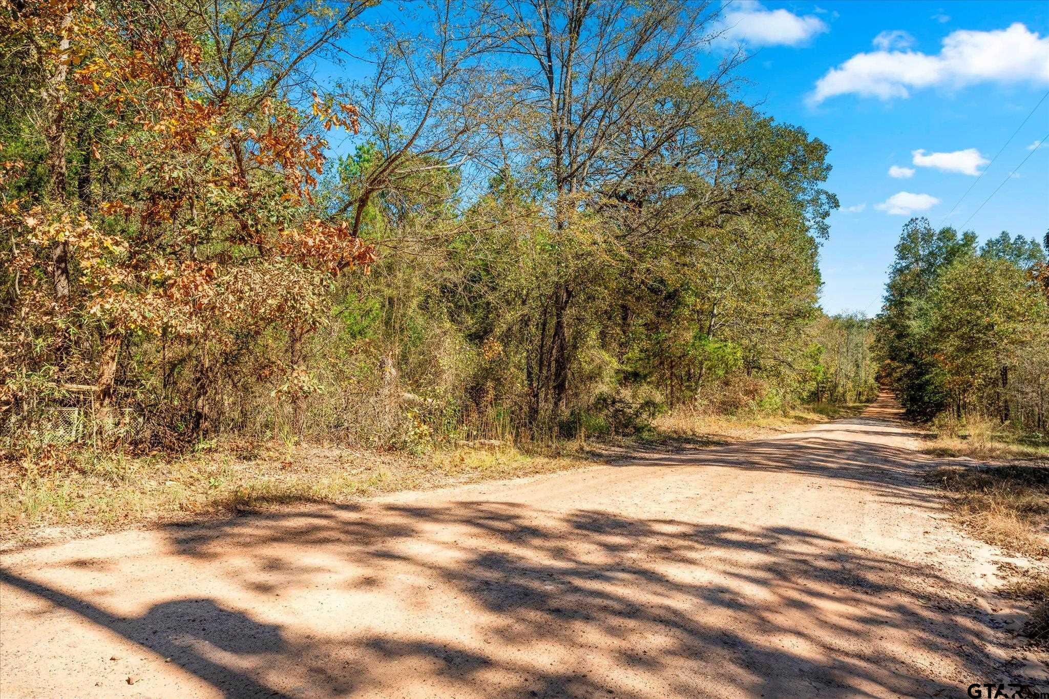 170 Private Road Leesburg, TX 75451 - Photo 11 of 46 a view of yard and tree