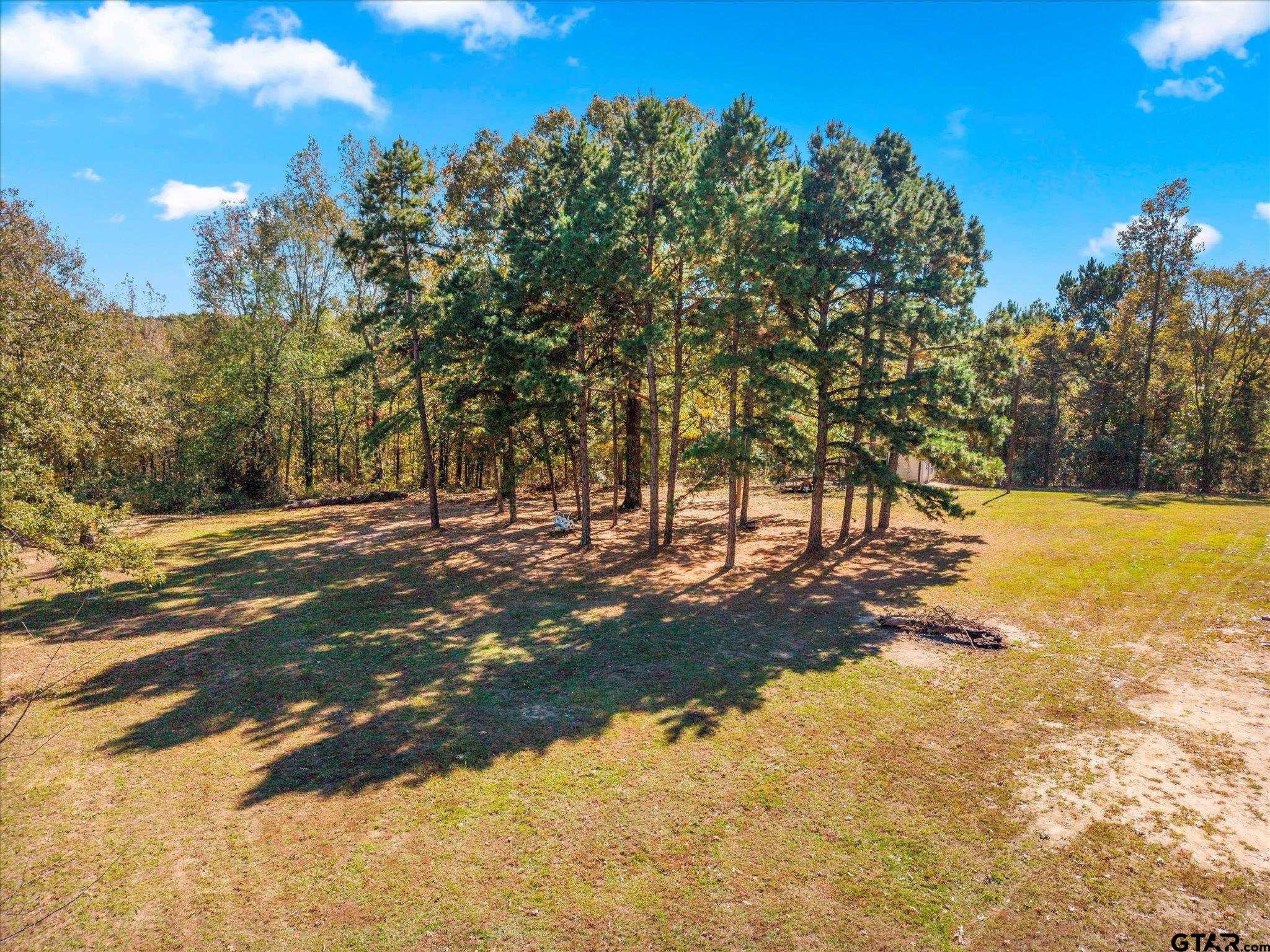 170 Private Road Leesburg, TX 75451 - Photo 12 of 46 a view of a yard with a tree
