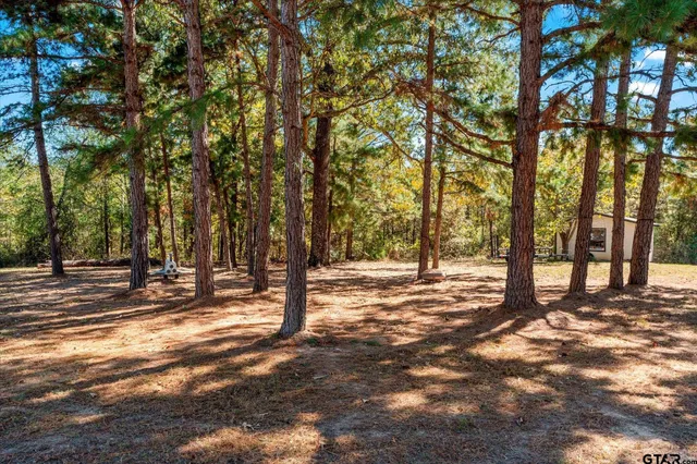 a backyard of a house with oven and a tree