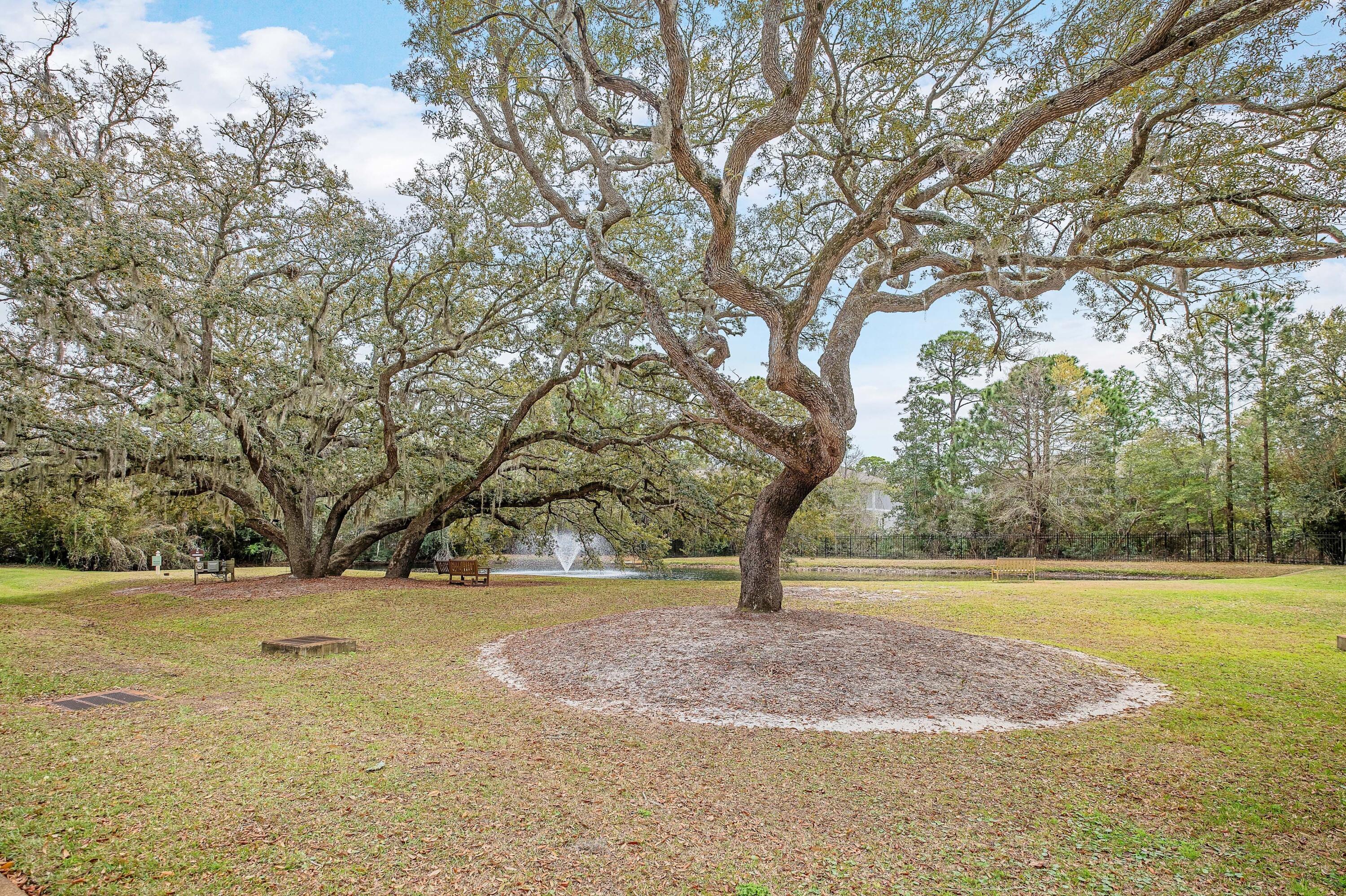 41 Carson Court Miramar Beach, FL 32550 - Photo 36 of 67 a view of yard with tree