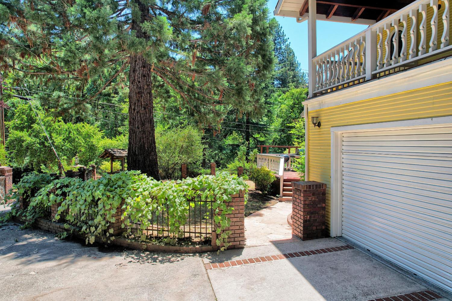 731 Dam Road Murphys, CA 95247 - Photo 67 of 80