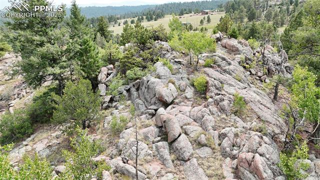 324 Pike View Road Florissant, CO 80816 - Photo 20 of 23