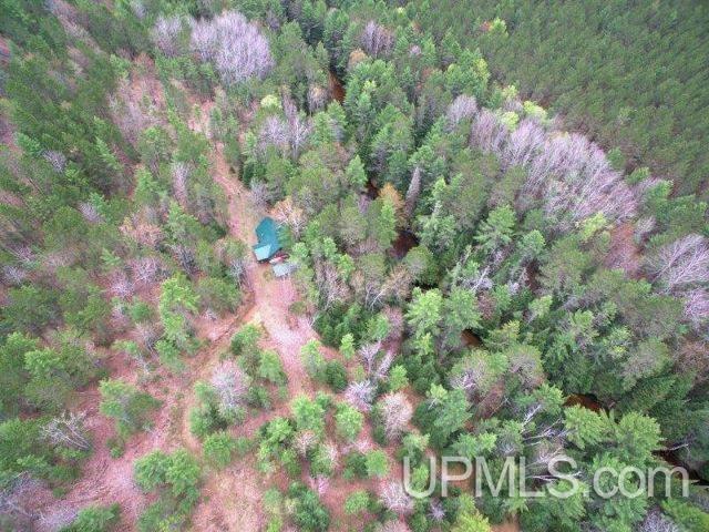3301 North Co Rd 437 Cooks, MI 49817 - Photo 10 of 25