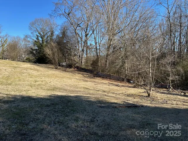 a view of a yard with trees