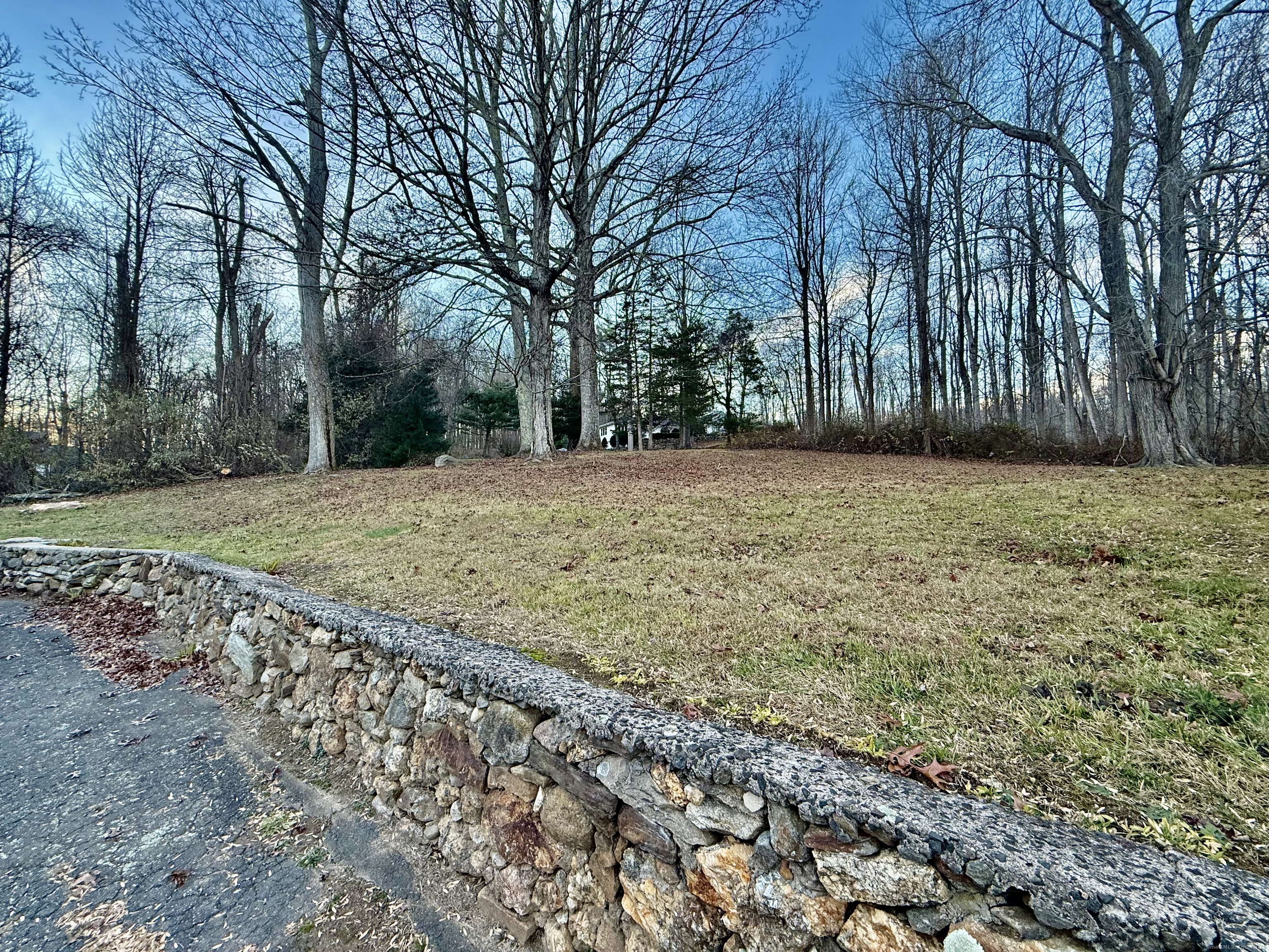 226 West High Street East Hampton, CT 06424 - Photo 5 of 21 a view of a yard with trees