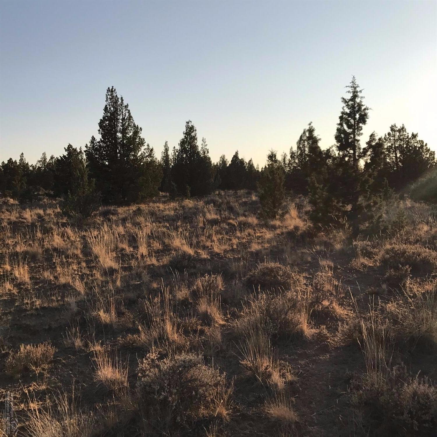 13150 Southeast Falcon Ridge Road Prineville, OR 97754 - Photo 16 of 22 Additional Photo