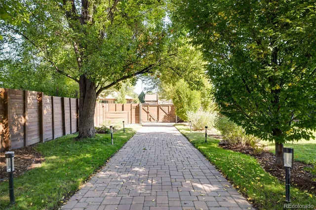 a view of a yard with plants and large trees