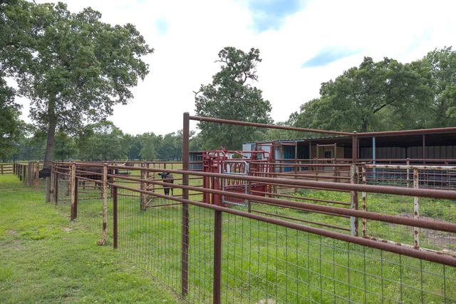 $875,000 | 4988 Paso Fino Lane, Madisonville, TX 77864