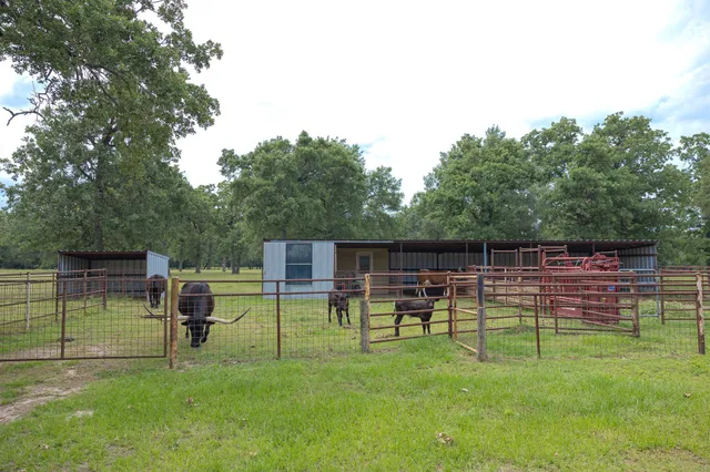 $875,000 | 4988 Paso Fino Lane, Madisonville, TX 77864