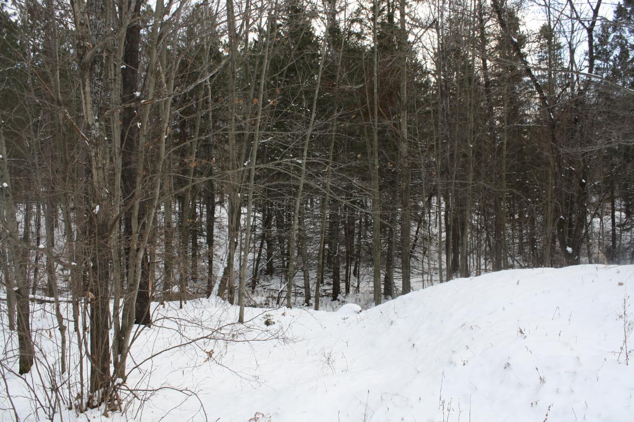Ne-2304 Lake Mildred Road, Unit LOT 3 Rhinelander, WI 54501 - Photo 1 of 5 Gallery Image 1