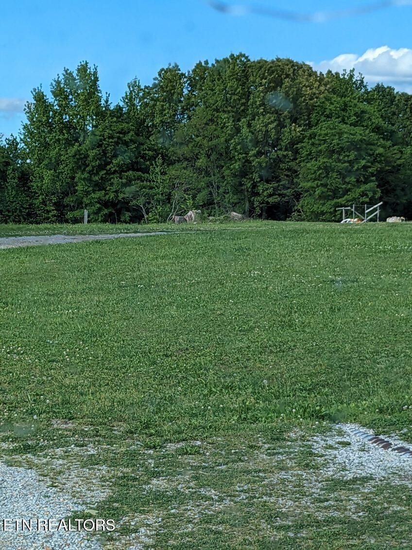 2280 Highway 47 Dickson, TN 37055 - Photo 14 of 14