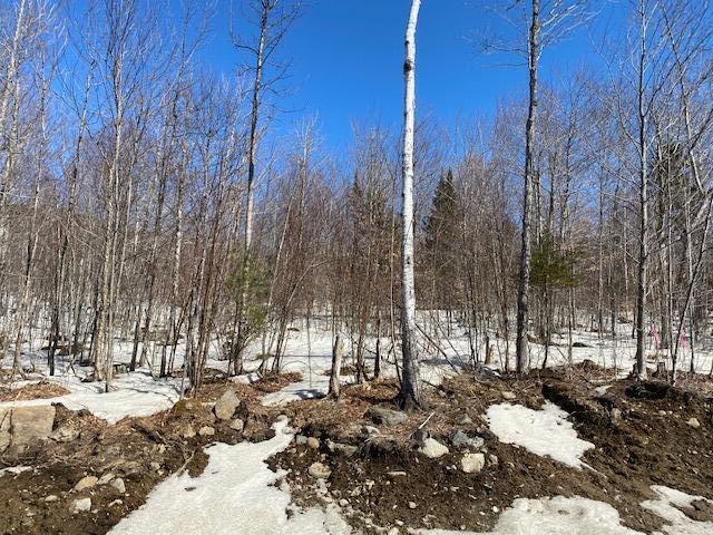 Lot 21 Eagle Ridge Road Kingfield, ME 04947 - Photo 2 of 6 IMG_6974