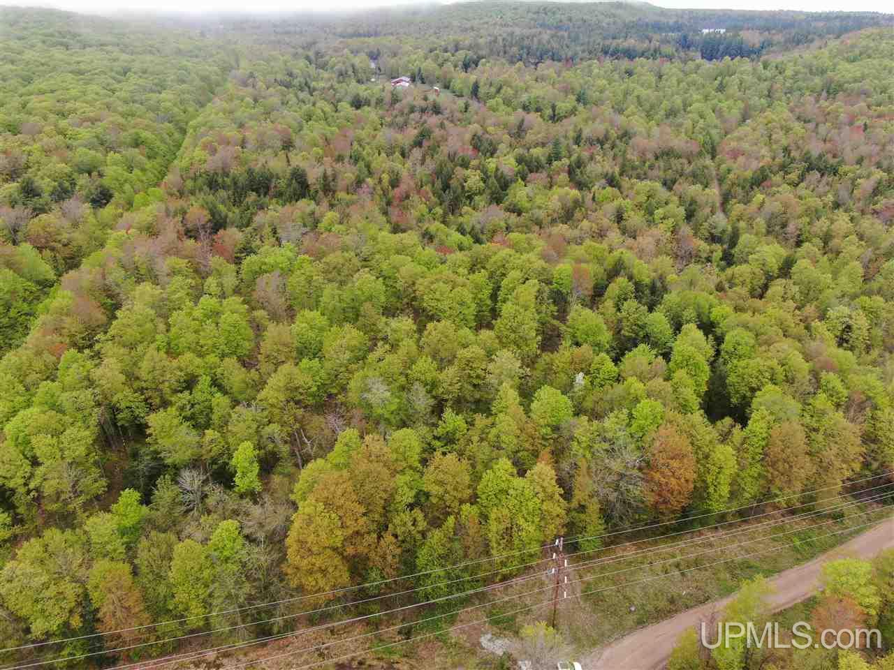 0 County Road 577 Road, Unit ANNA RIVER RDP Munising, MI 49862 - Photo 13 of 26