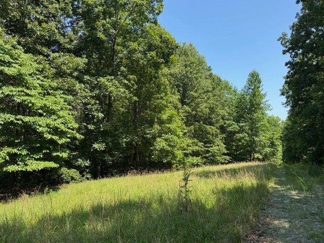 8062 Frame Hollow Road Nunnelly, TN 37137 - Photo 5 of 47