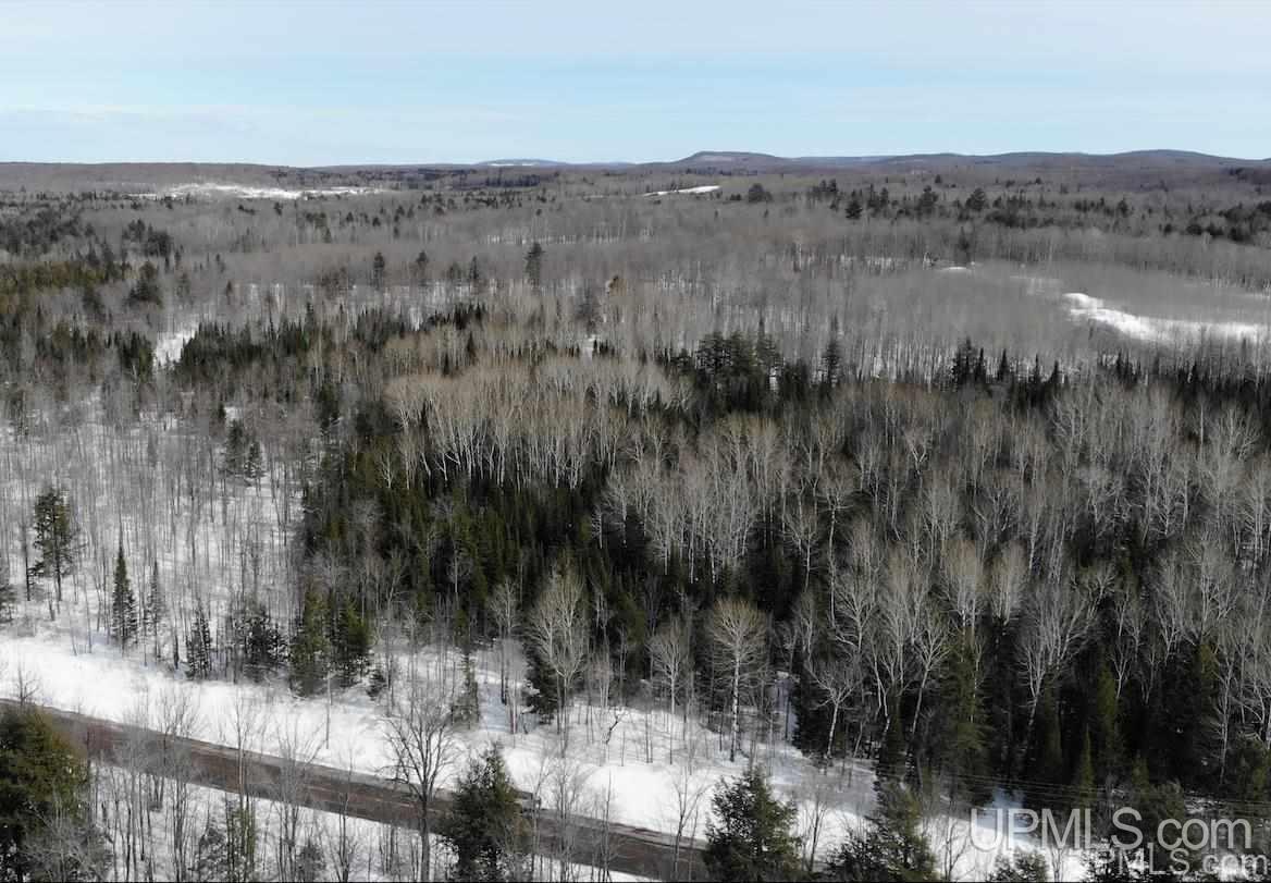 Tbd Dogpatch Road, Unit LOT A Lanse, MI 49946 - Photo 5 of 18