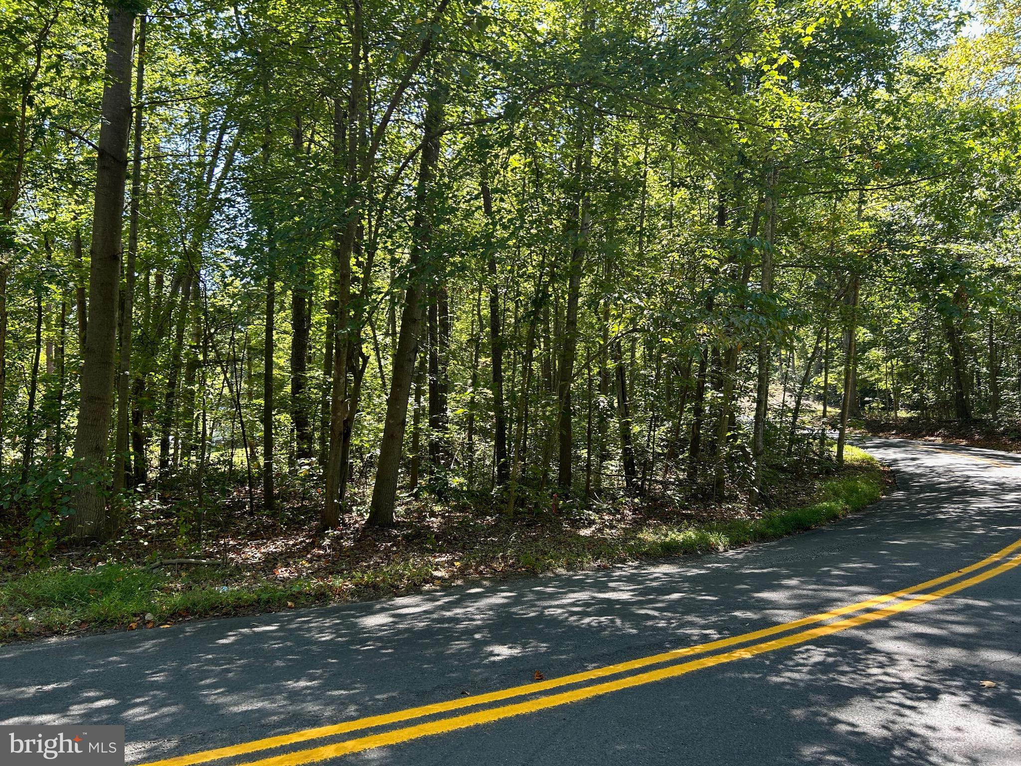 Mountjoy Road Marshall, VA 20115 - Photo 6 of 16 Portion across the street allows for more privacy