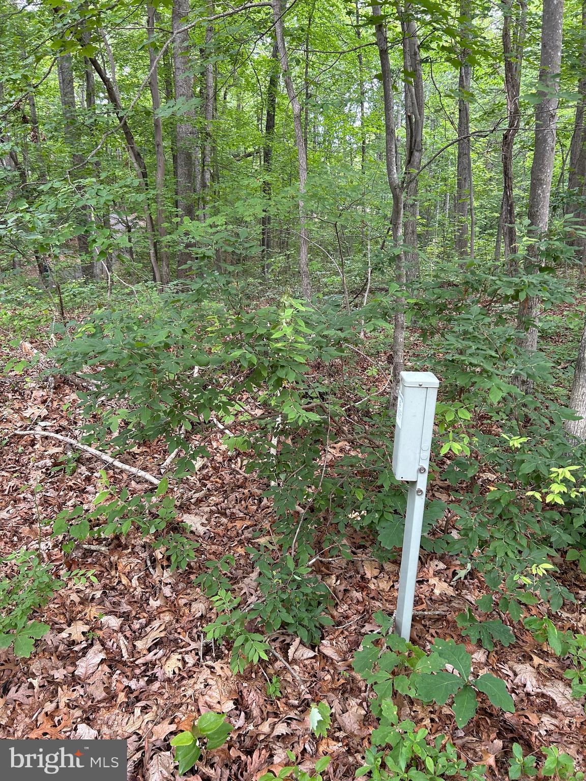 Mountjoy Road Marshall, VA 20115 - Photo 7 of 16 Soil work by, Soils Inc. see documents