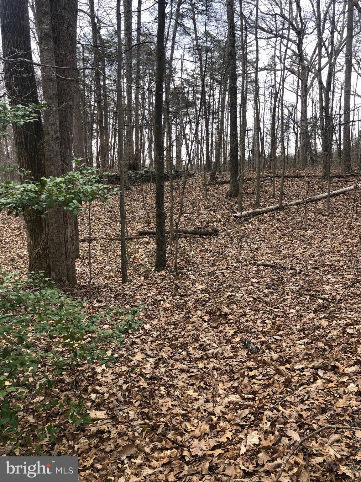 Mountjoy Road Marshall, VA 20115 - Photo 8 of 16 seasonal picture of landscape