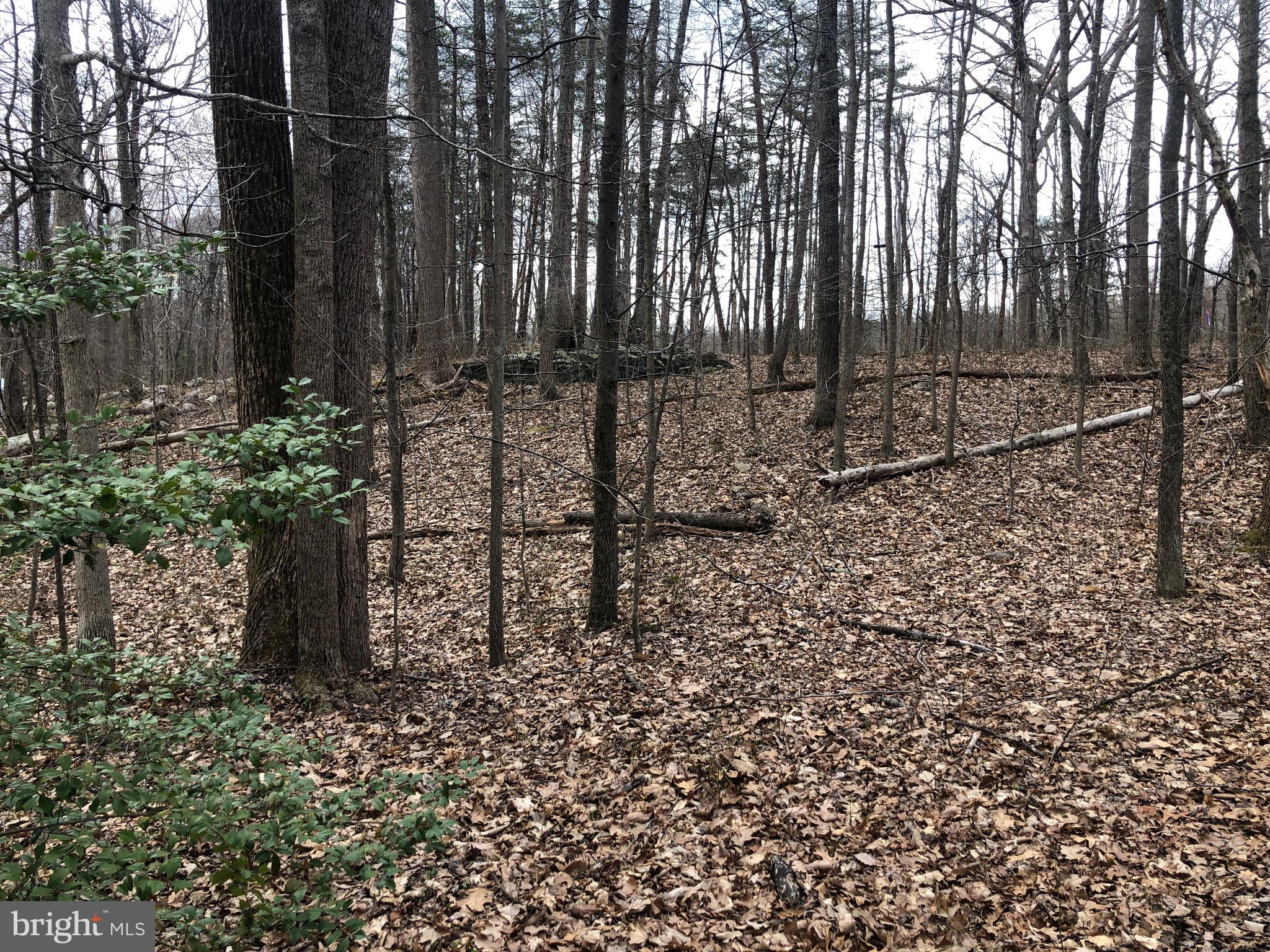 Mountjoy Road Marshall, VA 20115 - Photo 9 of 16 Seasonal topography picture