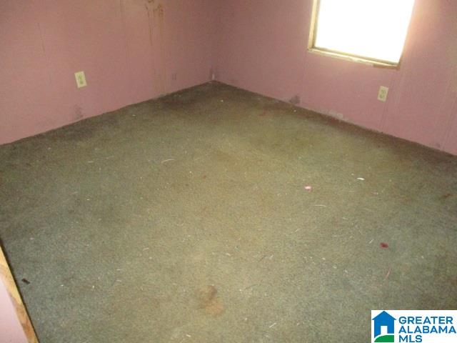 584 Prestons Mill Road Delta, AL 36258 - Photo 16 of 18
