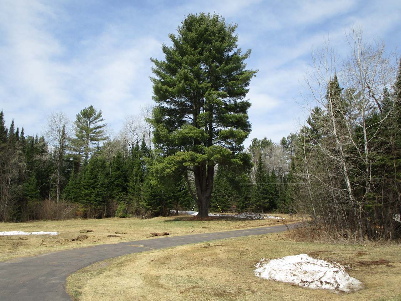 4255 Lake Of The Falls Road Mercer, WI 54547 - Photo 24 of 24 Gallery Image 24