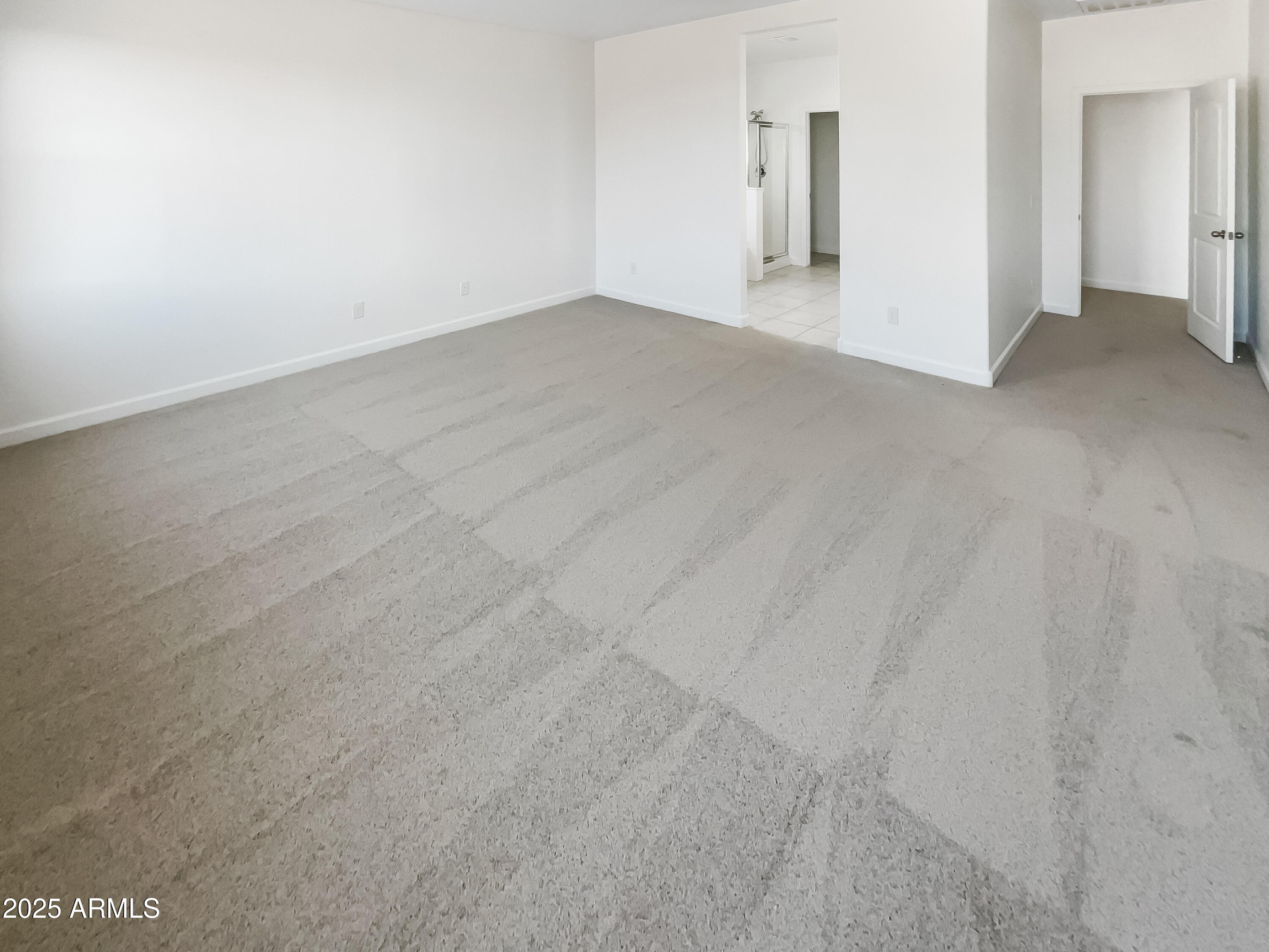 30643 West Osborn Road Buckeye, AZ 85396 - Photo 20 of 33 photo_20