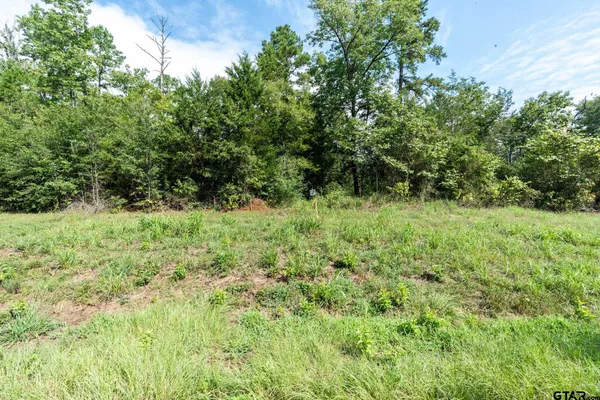 $370,000 | 11163 Moser Lane, Whitehouse, TX 75791