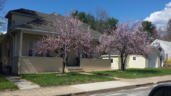 2054 Oak Street Three Rivers, MA 01080 - Photo 2 of 4