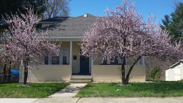 2054 Oak Street Three Rivers, MA 01080 - Photo 3 of 4