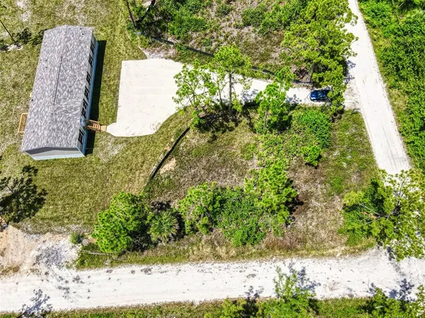 a view of a yard with plants