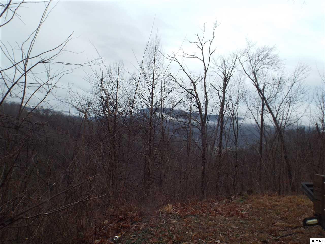 0 Loop Road Gatlinburg, TN 37738 - Photo 8 of 9