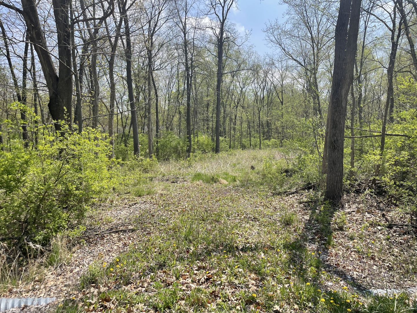 2730 East 1959th Road Ottawa, IL 61350 - Photo 1 of 1 a view of outdoor space and green space