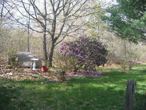 171 Weathervane Road South Kingstown, RI 02879 - Photo 6 of 8 Yard/Garden.