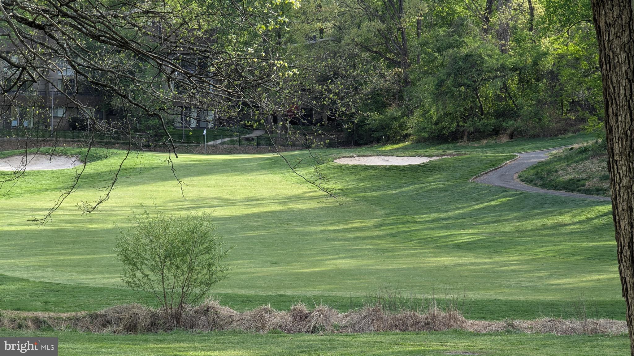 2200 Glencourse Lane Reston, VA 20191 - Photo 66 of 66 a view of a park