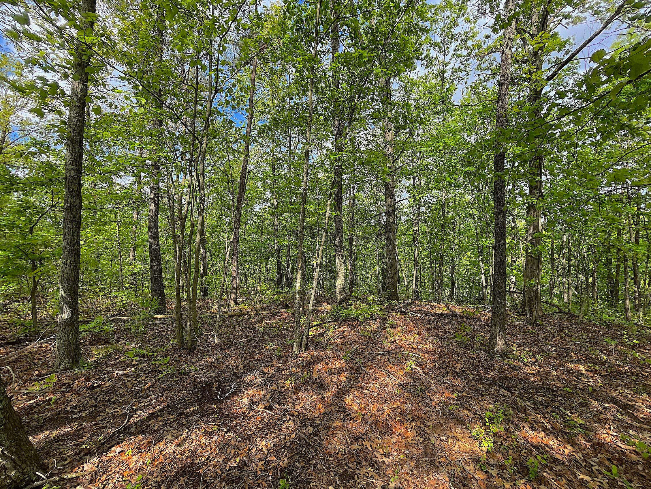 478 Hamilton Road Crown City, OH 45623 - Photo 1 of 29 LEAD PHOTO