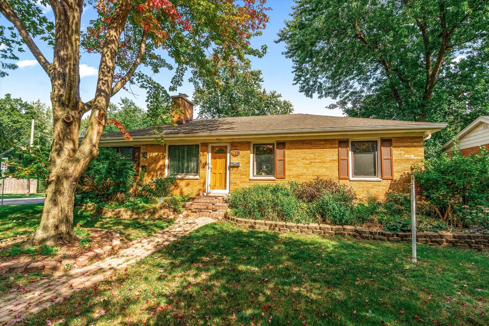a front view of house with yard and green space
